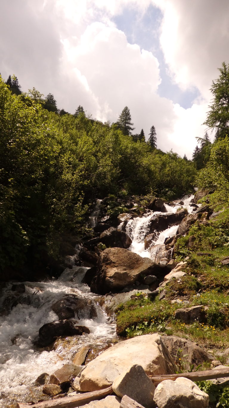 Etappe 5 Salzburger Almenweg Wandern mit Hund Hüttentour