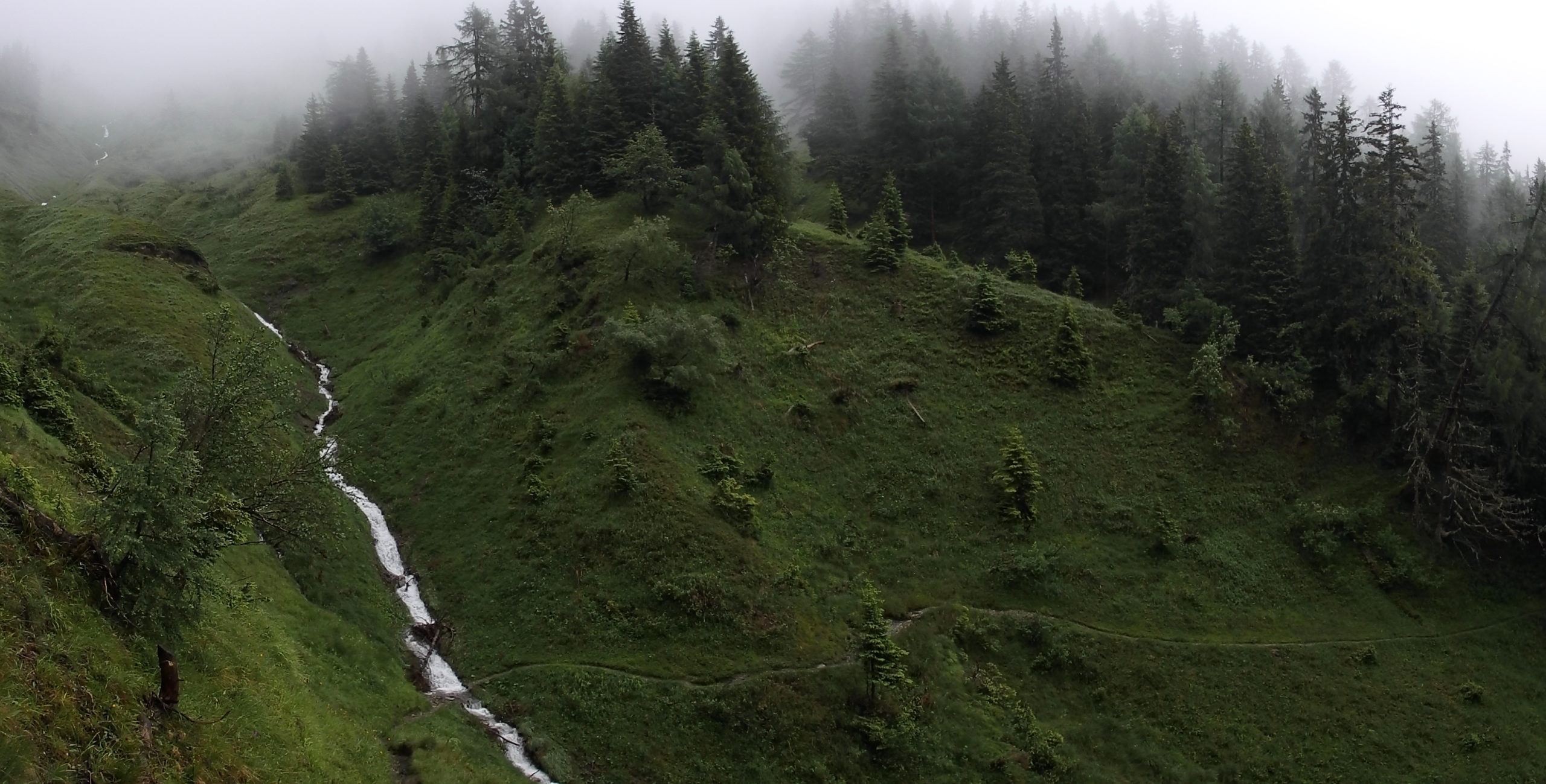 Etappe 7 Salzburger Almenweg Wandern mit Hund Hüttentour